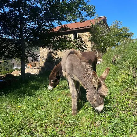 Сasa de vacaciones A Casiña Do Rieiro